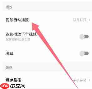 西瓜视频怎么开启视频自动播放?-西瓜视频开启视频自动播放的方法