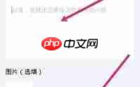 如何投诉大麦