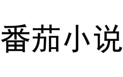 番茄小说怎么给小说打分和评价_番茄小说给小说打分和评价方法