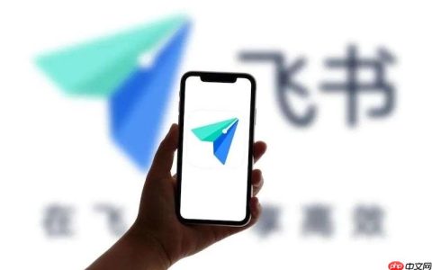 飞书文档无法保存怎么办 飞书文档保存异常修复方法