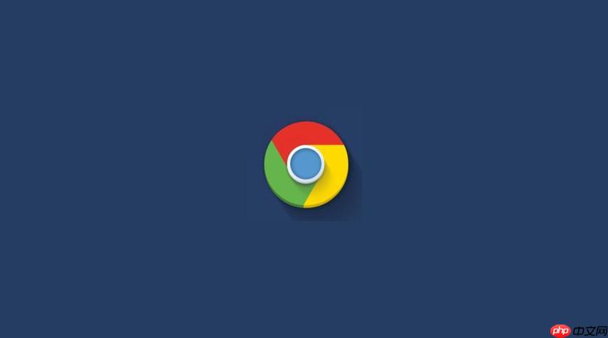 chrome浏览器最新官方网址下载 chrome浏览器官网链接快速直达