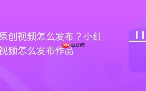 小红书原创视频怎么发布？小红书原创视频怎么发布作品