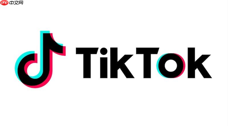 tiktok网络使用链接 tiktok网页版入口地址