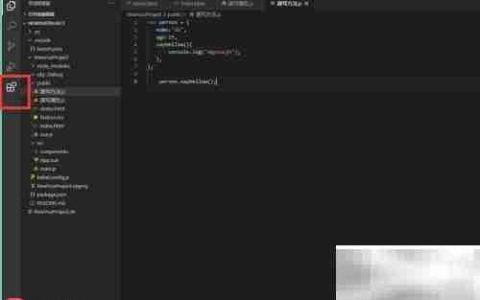 VS Code配置Code Runner指南
