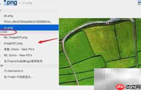 苹果电脑全盘搜索文件技巧