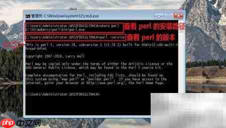 Windows安装Perl简易教程