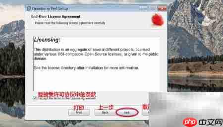 Windows安装Perl简易教程