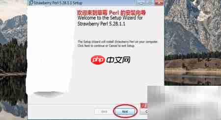 Windows安装Perl简易教程