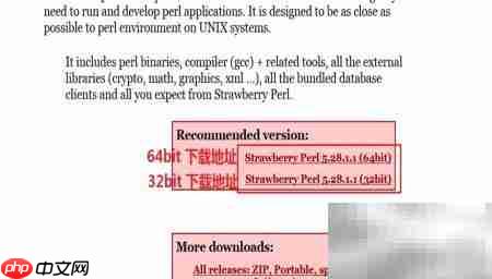 Windows安装Perl简易教程