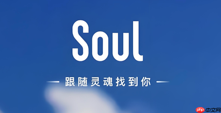 soul养的虚拟宠物有什么用_soul虚拟宠物功能说明