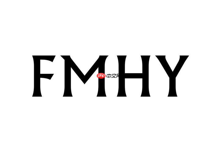 fmhy官网最新入口_fmhy中文官网进入链接