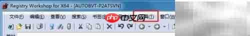 Registry显示最近使用文件方法
