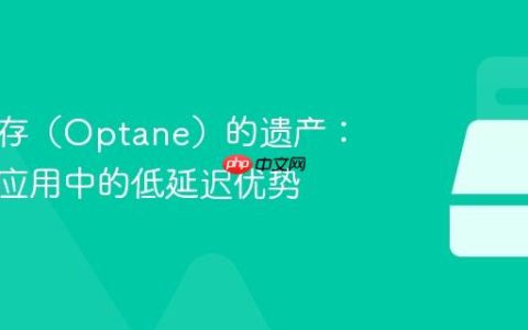 傲腾内存（Optane）的遗产：在专业应用中的低延迟优势
