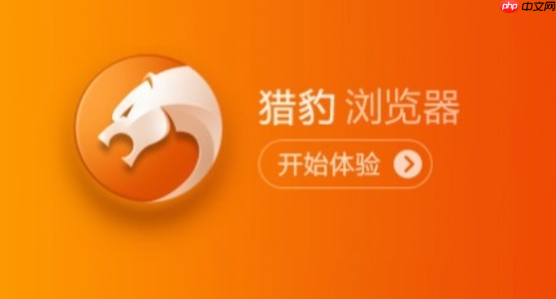 猎豹浏览器官方直达网址入口 猎豹浏览器官网链接主页快速访问