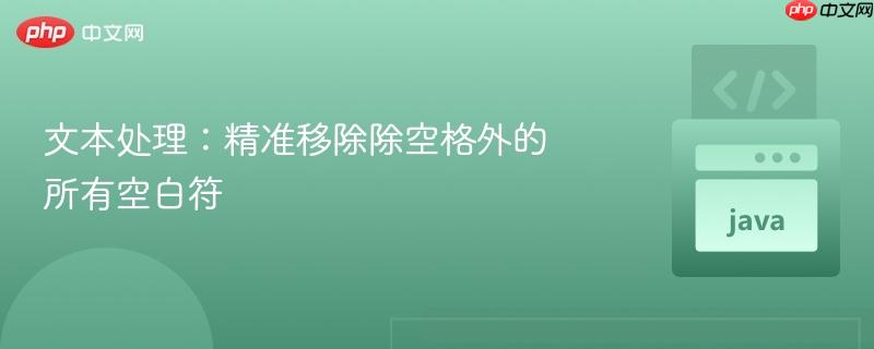 文本处理:精准移除除空格外的所有空白符