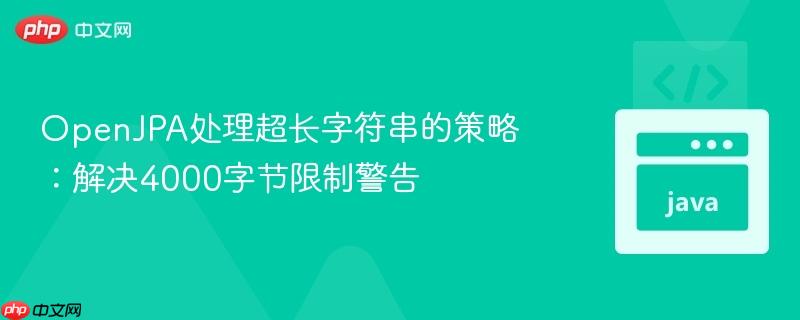 OpenJPA处理超长字符串的策略:解决4000字节限制警告