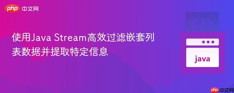 使用Java Stream高效过滤嵌套列表数据并提取特定信息