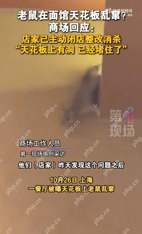 商场回应餐厅天花板上老鼠乱窜:已闭店整改进行消杀 - 创想鸟