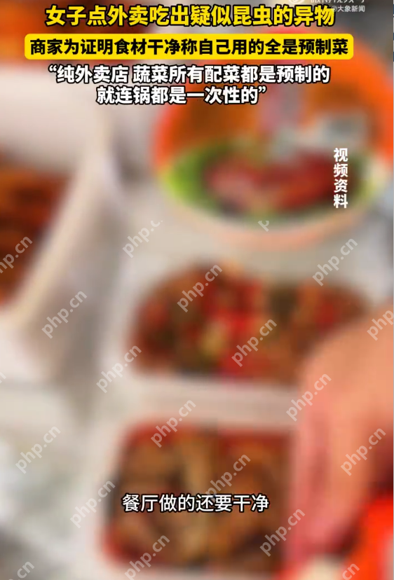 外卖吃出异物商家称全是预制菜 当事人:已在平台申请退款 - 创想鸟