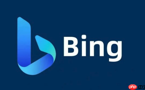 Bing搜索最新官方主页网址 Bing搜索平台入口直达访问链接
