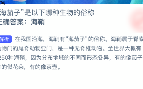 海茄子是以下哪种生物的俗称