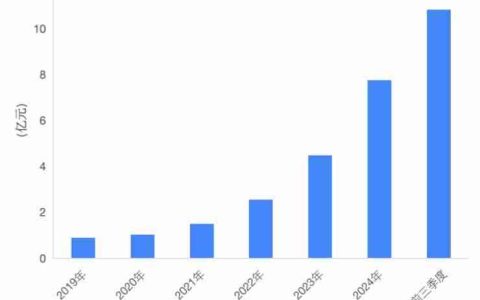 双十一全面霸榜！影石 Q3 营收猛增 93% ，研发投入翻倍加码定制芯片