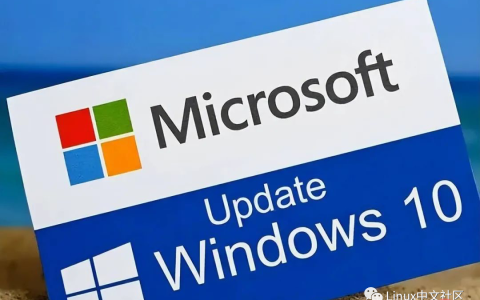 微软封禁止 Win10、Win11下载，俄罗斯转向 Linux 系统
