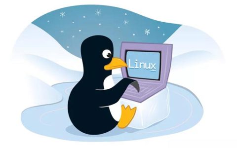 linux如何完全删除用户