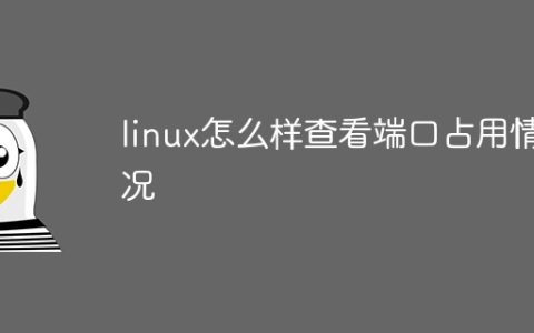 linux怎么样查看端口占用情况