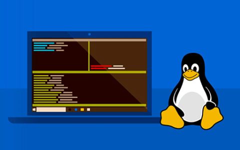 你知道Linux下怎么定时备份数据库吗？