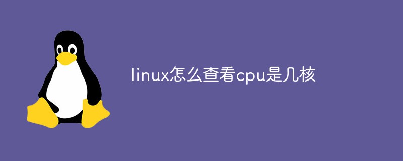linux怎么查看cpu是几核