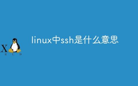linux中ssh是什么意思
