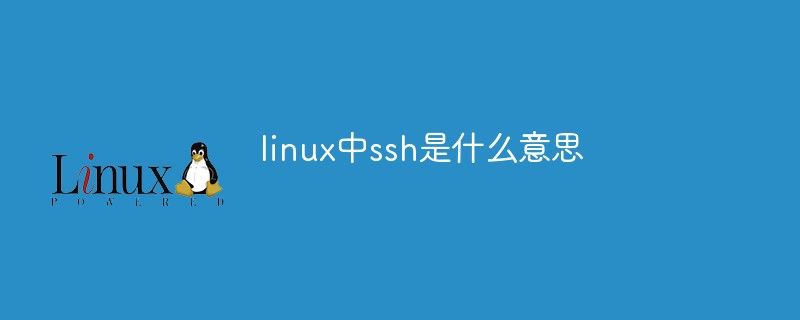 linux中ssh是什么意思