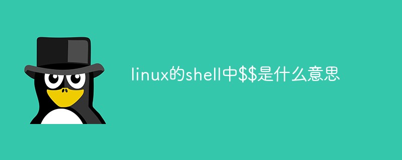 linux的shell中$$是什么意思