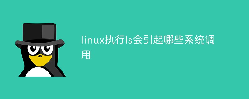 linux执行ls会引起哪些系统调用
