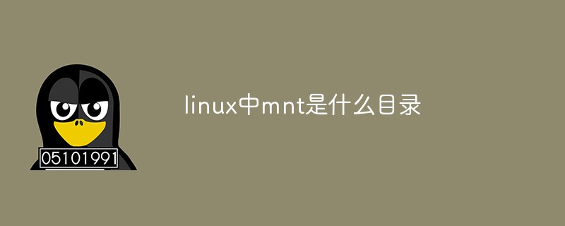 linux中mnt是什么目录