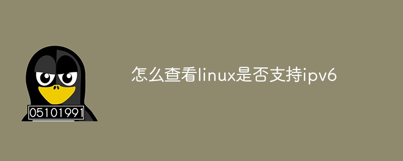 怎么查看linux是否支持ipv6