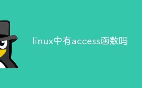 linux中有access函数吗