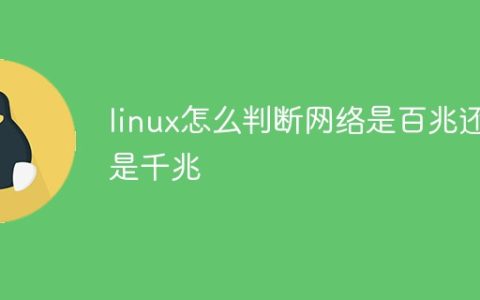 linux怎么判断网络是百兆还是千兆
