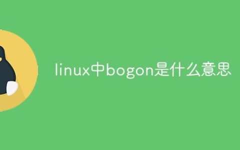 linux中bogon是什么意思