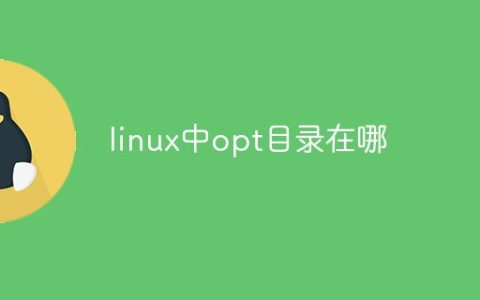linux中opt目录在哪