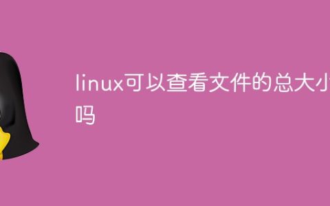 linux可以查看文件的总大小吗