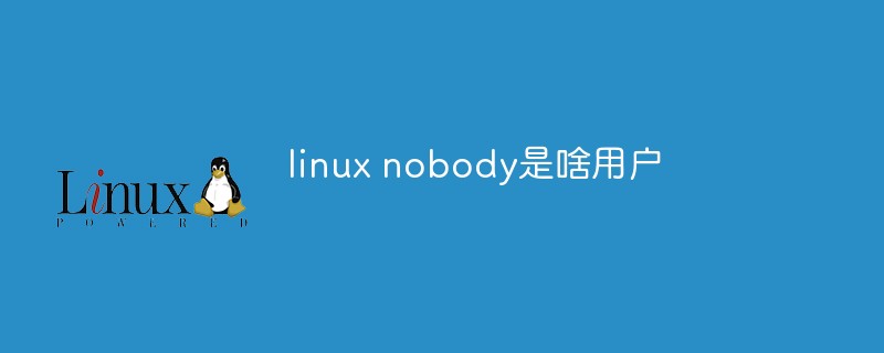 linux nobody是啥用户