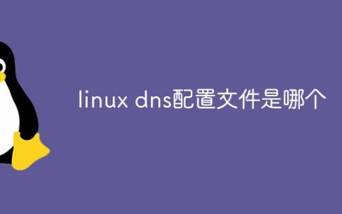 linux dns配置文件是哪个