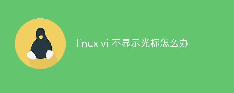 linux vi 不显示光标怎么办