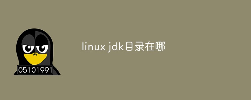 linux jdk目录在哪