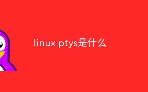 linux ptys是什么