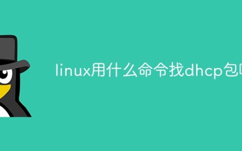 linux用什么命令找dhcp包啊