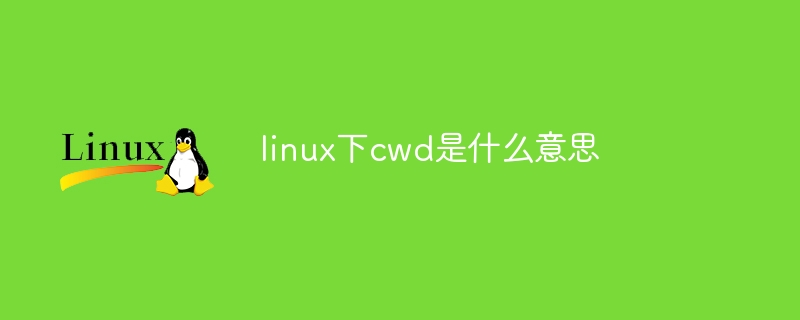 linux下cwd是什么意思
