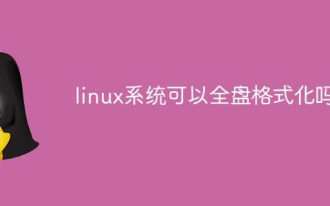 linux系统可以全盘格式化吗